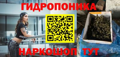 mdpv Новодвинск
