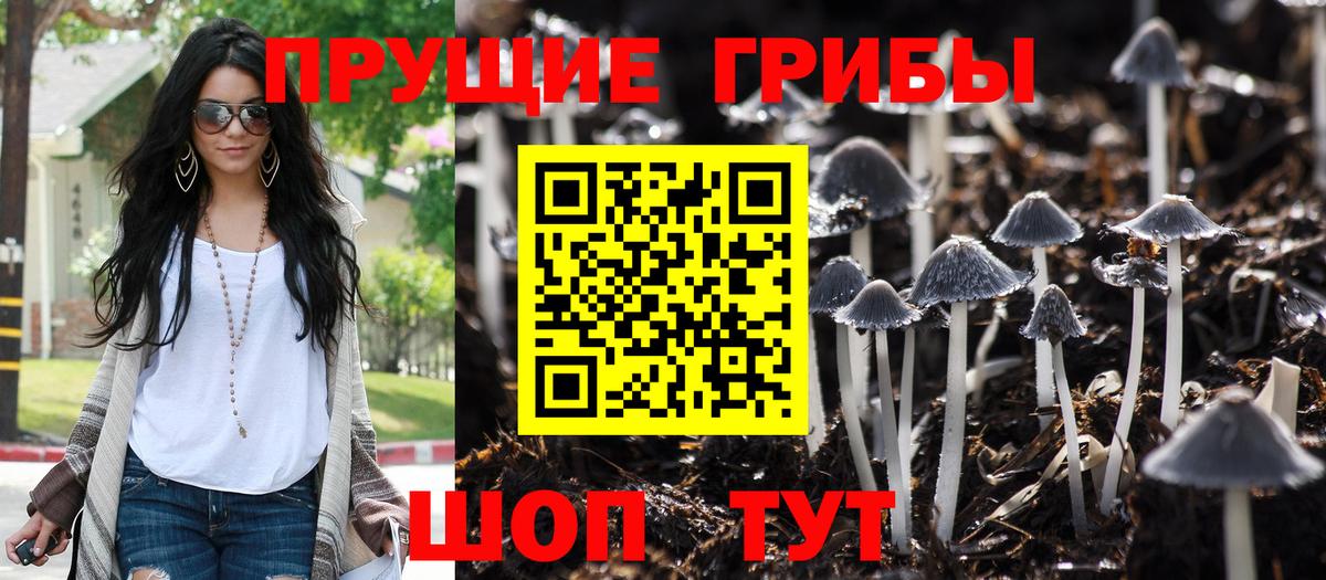 Псилоцибиновые грибы MAGIC MUSHROOMS Азнакаево